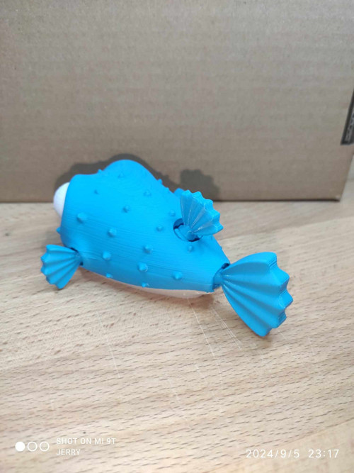 Naštvaná puffer ryba - normální — foto 3