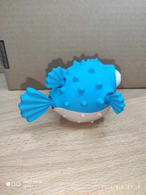 Naštvaná puffer ryba - nafouknutá — foto 2