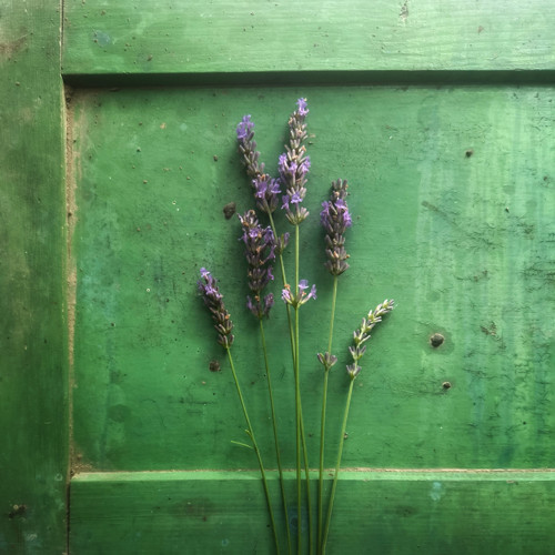 Vosk do aromalampy s vůní levandule — foto 4