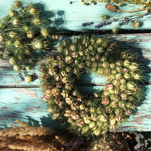 Věneček Černucha — foto 2