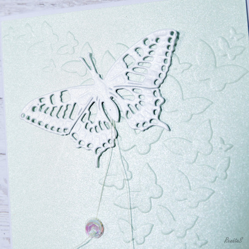 Přání - Greenish butterfly — foto 4
