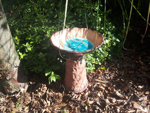 Studánka pro ptáčky, včelky a jiný hmyz — foto 4
