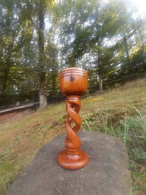 Kalich záviťák — foto 6