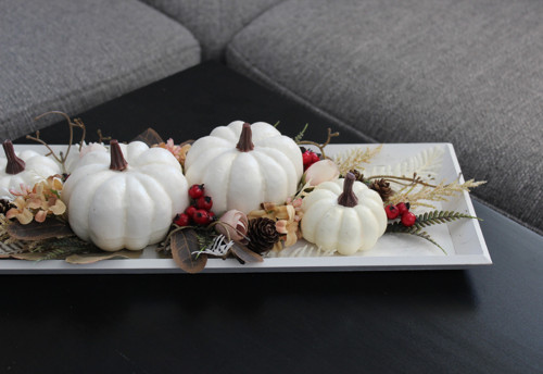 Tácek s dýněmi — foto 5