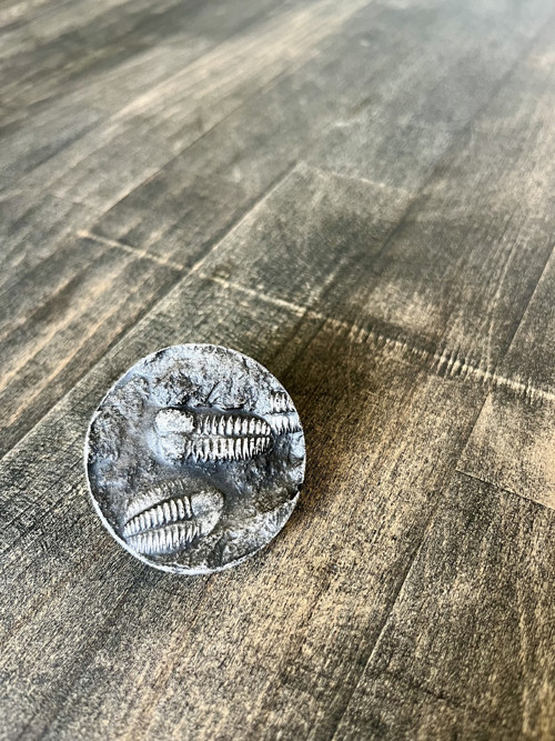 Trilobiti — foto 3