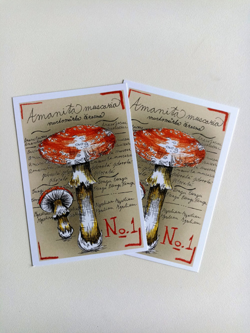 Amanita — foto 2