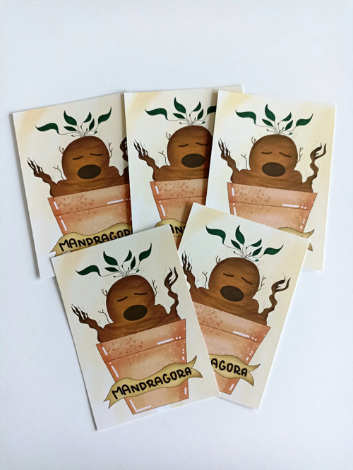 Mandragora — foto 2