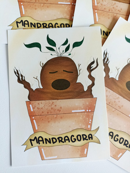 Mandragora — foto 3