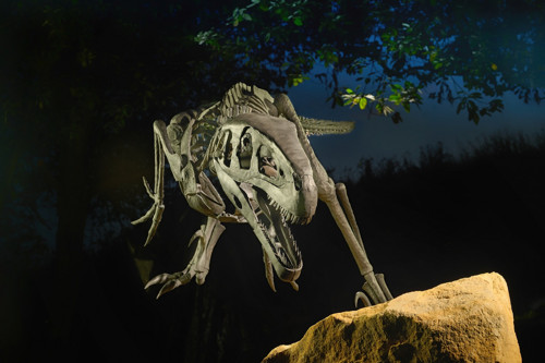 Kovaná socha dinosaura — foto 3