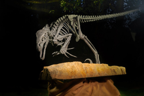 Kovaná socha dinosaura — foto 2