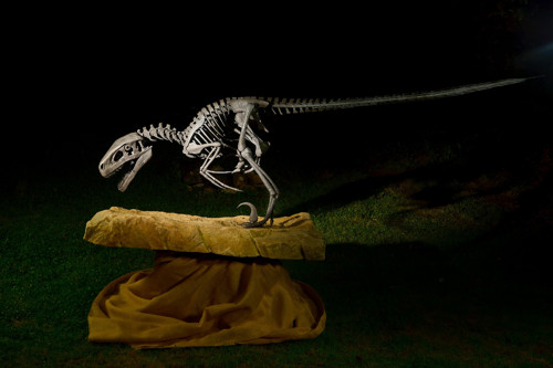 Kovaná socha dinosaura — foto 4