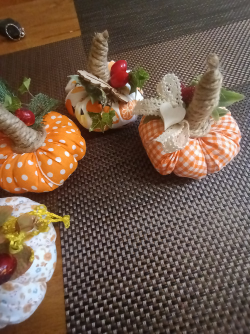 Podzimní dýně — foto 3