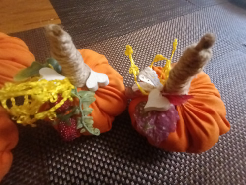 Podzimní dýně — foto 3