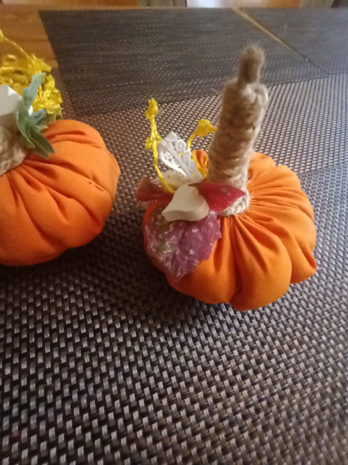 Podzimní dýně — foto 2