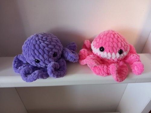 Chobotnice růžová — foto 3
