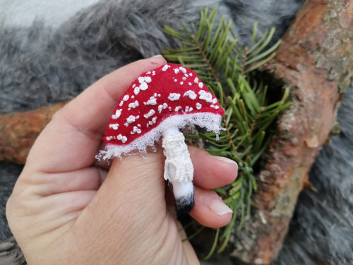Muchomůrka červená_12 — foto 4