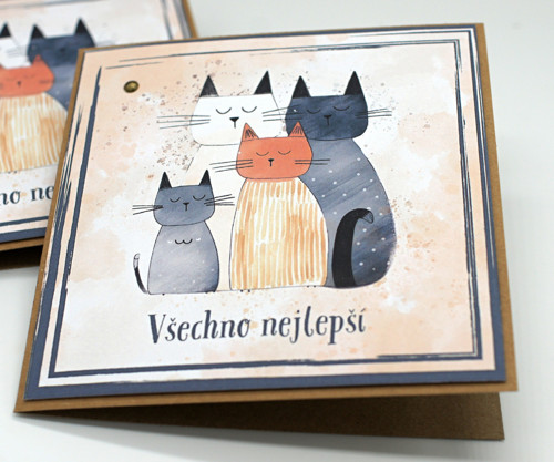 Kočičí přání — foto 2
