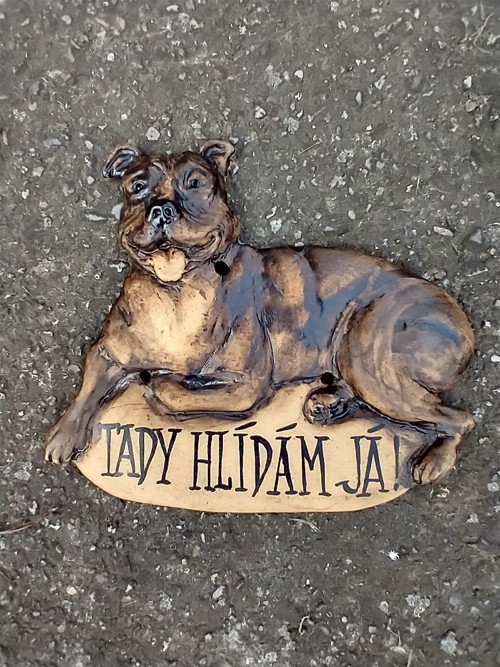 Cedulka s pitbullem a s nápisem — foto 3