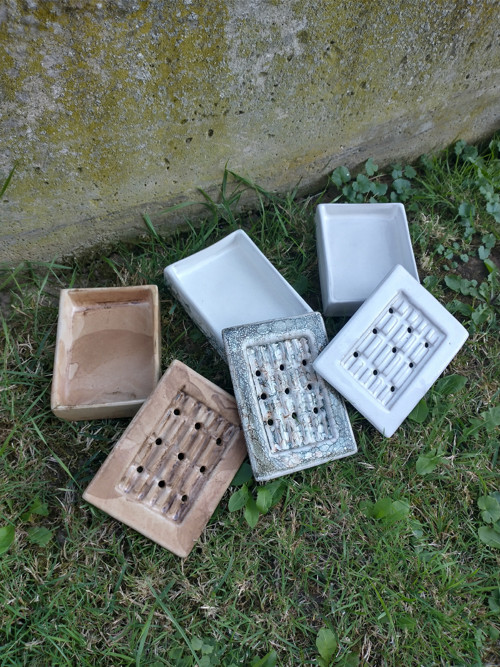 Mýdlenka dvoudílná hranatá — foto 2