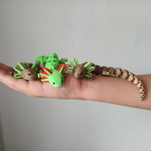 Axolotl — foto 5