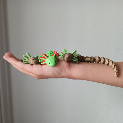 Axolotl — foto 6