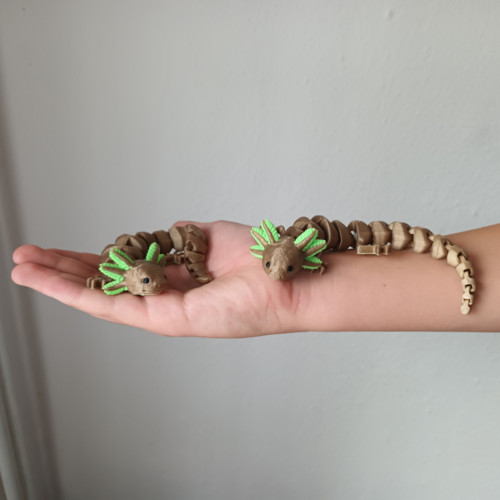Axolotl — foto 3