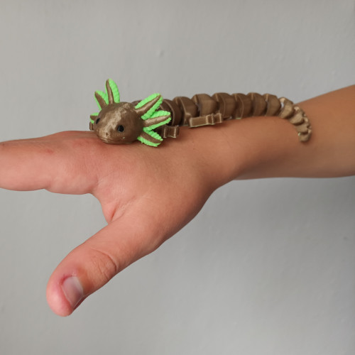 Axolotl — foto 2