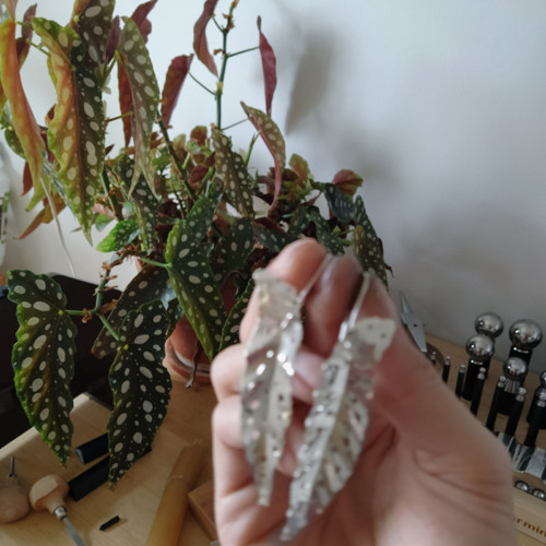 Begonia Maculata stříbrné náušnice — foto 4