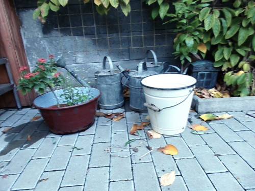 Smalt v bílém — foto 5