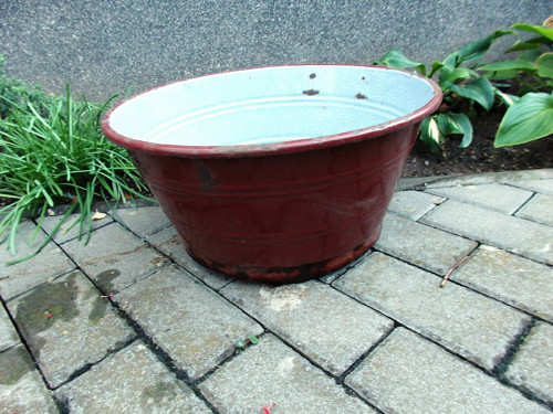 Lantana v hnědém kabátě — foto 2