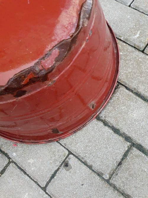 Lantana v hnědém kabátě — foto 5