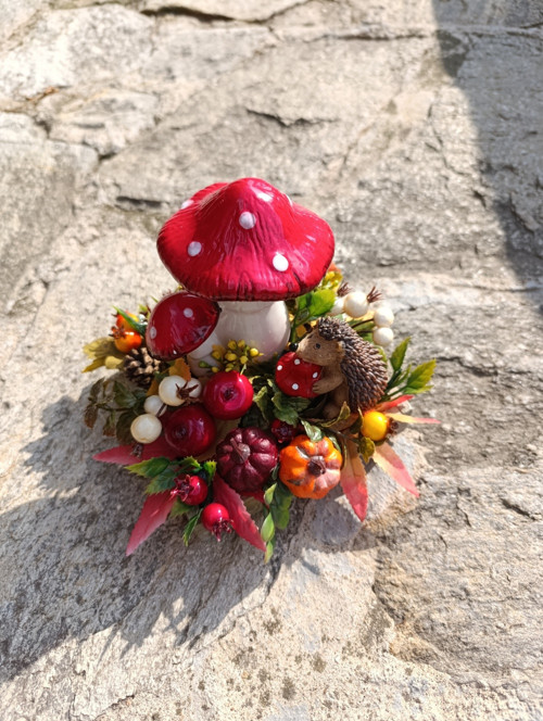 Muchomůrky — foto 2