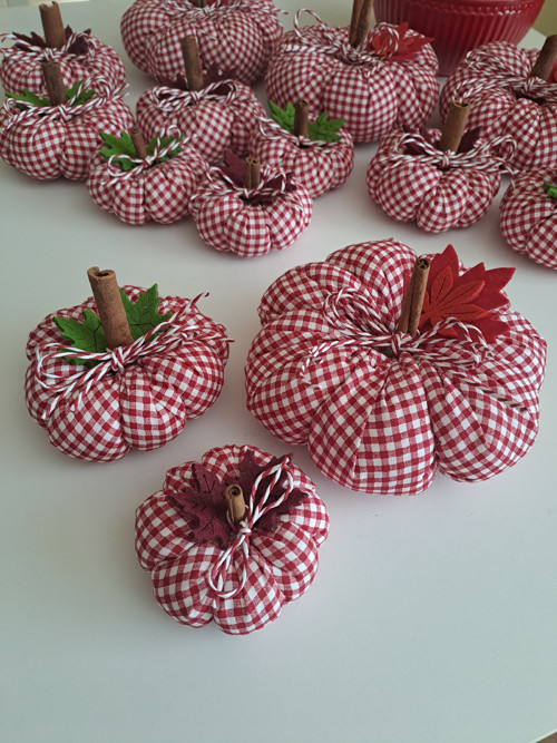 Dýně střední — foto 2