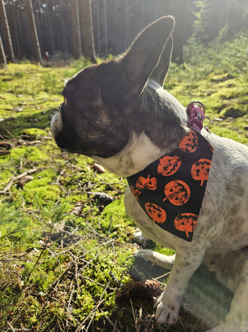 Halloweenský šáteček — foto 2