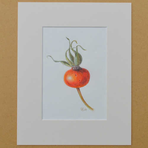 Originál - šípek, v paspartě 25x20cm — foto 3