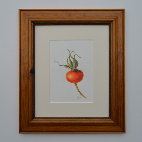 Originál - šípek, v paspartě 25x20cm — foto 5
