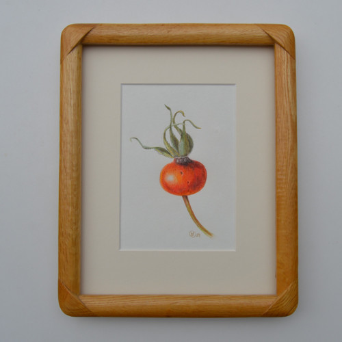 Originál - šípek, v paspartě 25x20cm — foto 4
