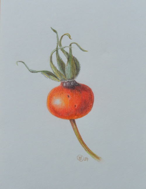 Originál - šípek, v paspartě 25x20cm — foto 2