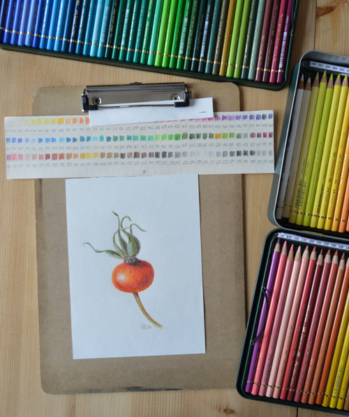 Originál - šípek, v paspartě 25x20cm — foto 6
