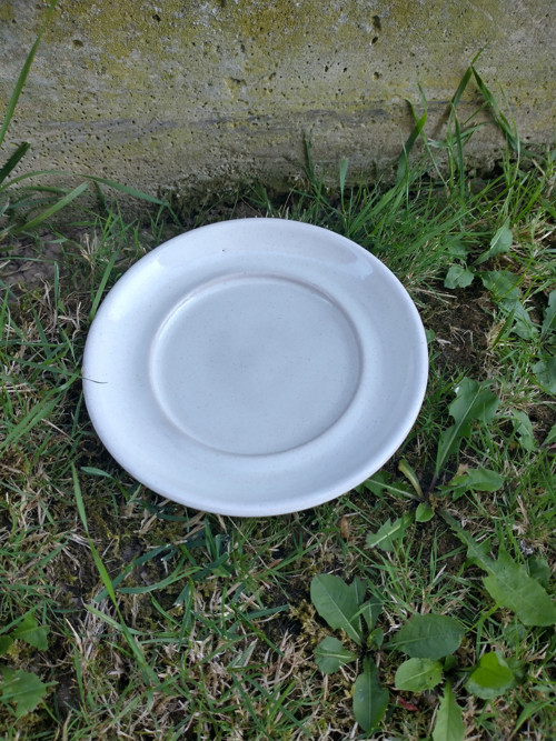 Podšálek velký — foto 5