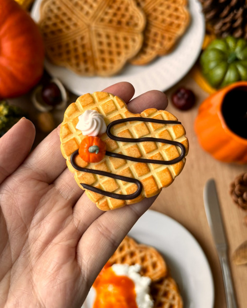 Dýňová waffle (brož) — foto 3