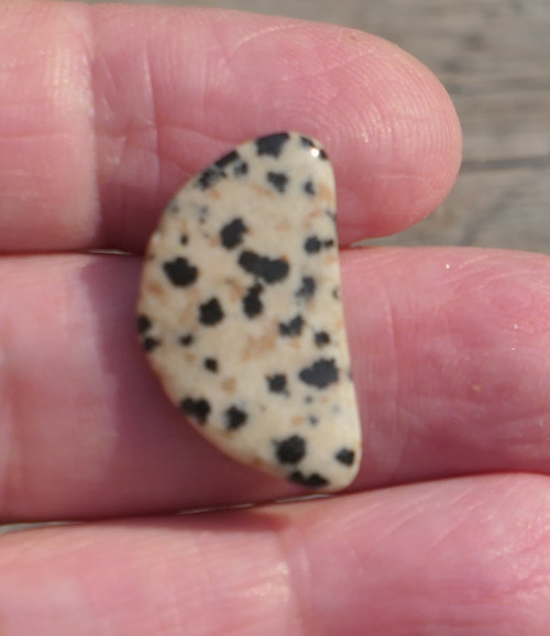 Jaspis dalmatin (23 mm) V474 — foto 2