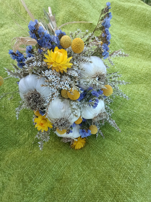 Česneková kytice — foto 3