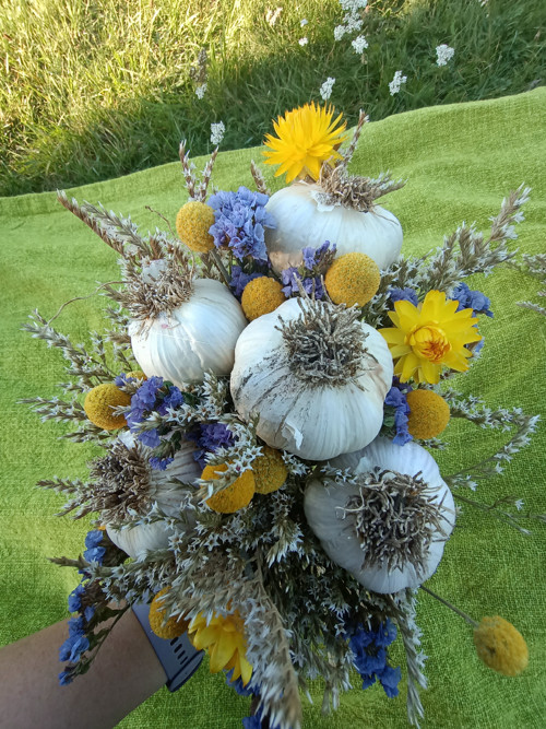 Česneková kytice — foto 2