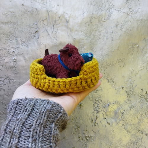 Pidi pes — foto 3