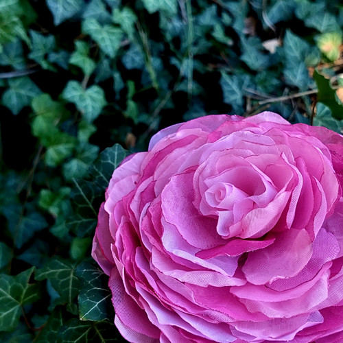 Rosé1 průměr 12 cm — foto 4