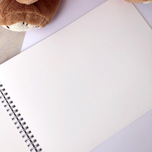 První album — foto 2
