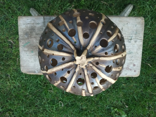 Dýně 29 cm — foto 2