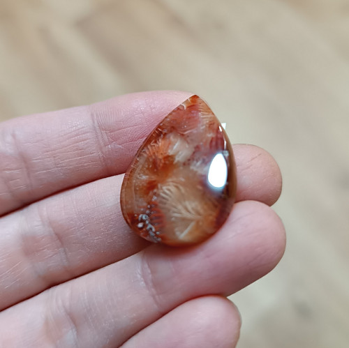 Karneol, ID 4323, 28x20 mm — foto 2