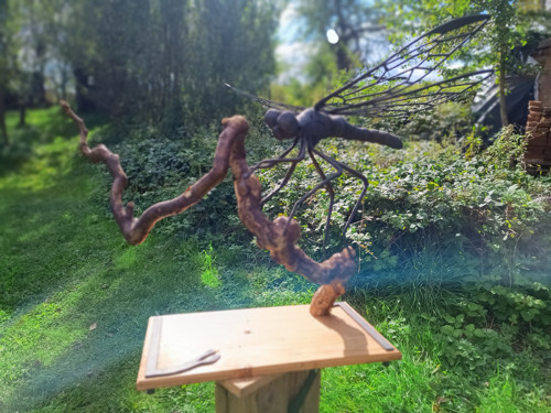 Vážka na větvičce — foto 3
